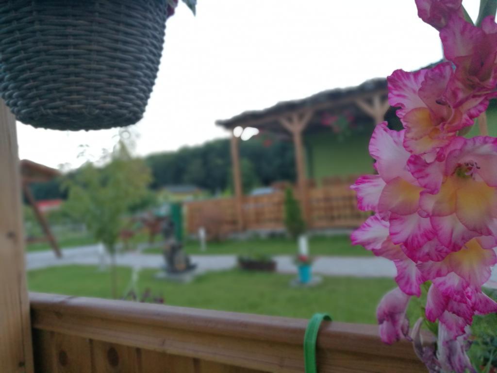 Agropensiunea Valea Fagilor Luncavita Exterior foto