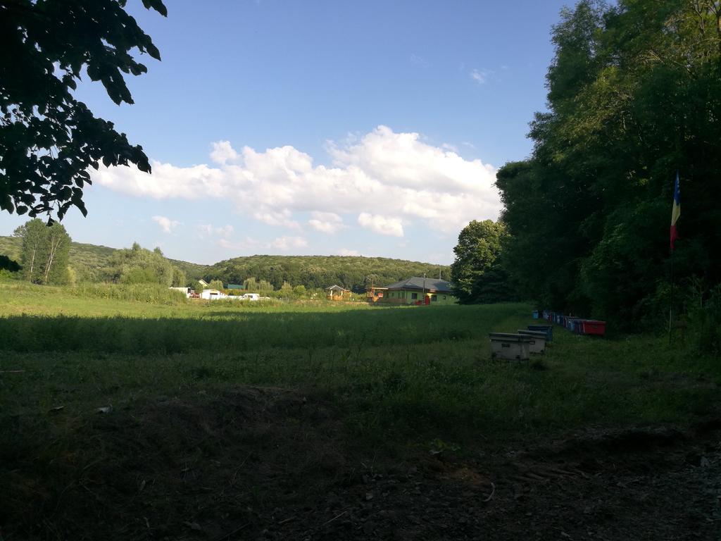 Agropensiunea Valea Fagilor Luncavita Exterior foto