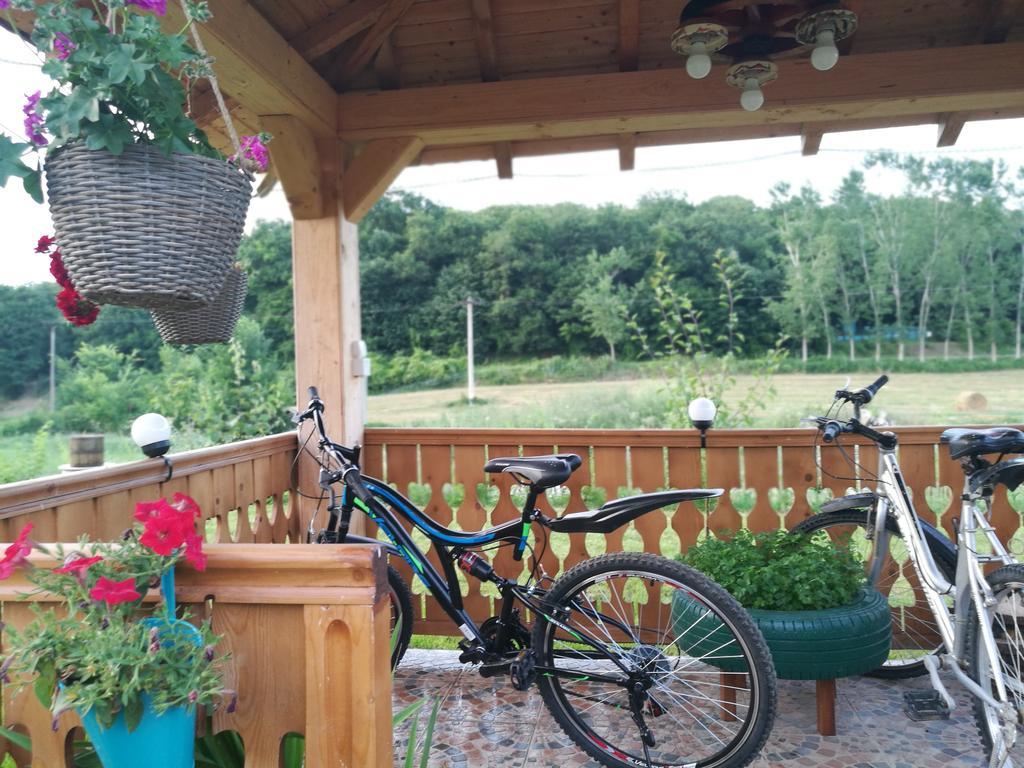 Agropensiunea Valea Fagilor Luncavita Exterior foto
