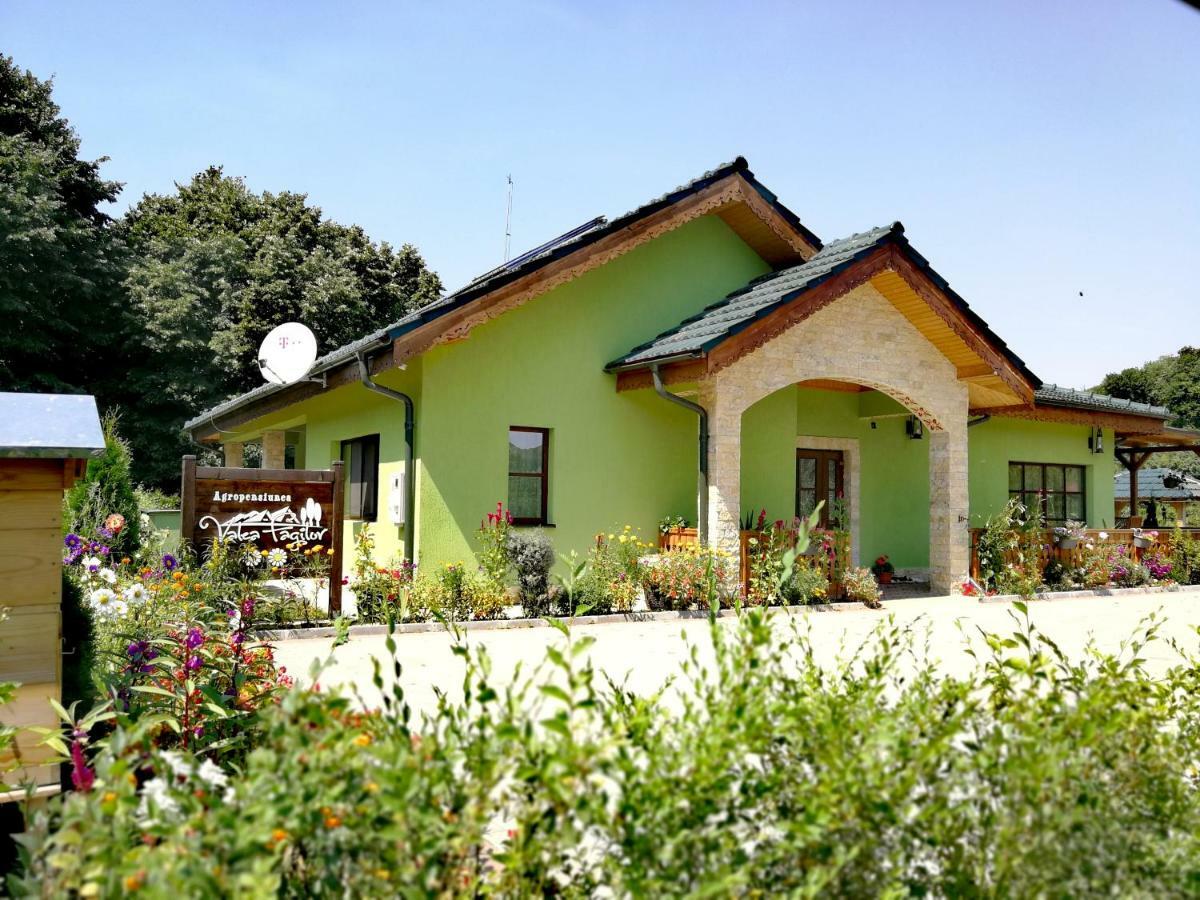 Agropensiunea Valea Fagilor Luncavita Exterior foto
