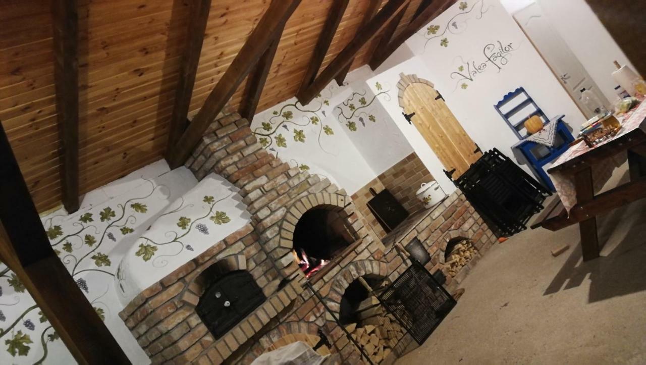 Agropensiunea Valea Fagilor Luncavita Exterior foto