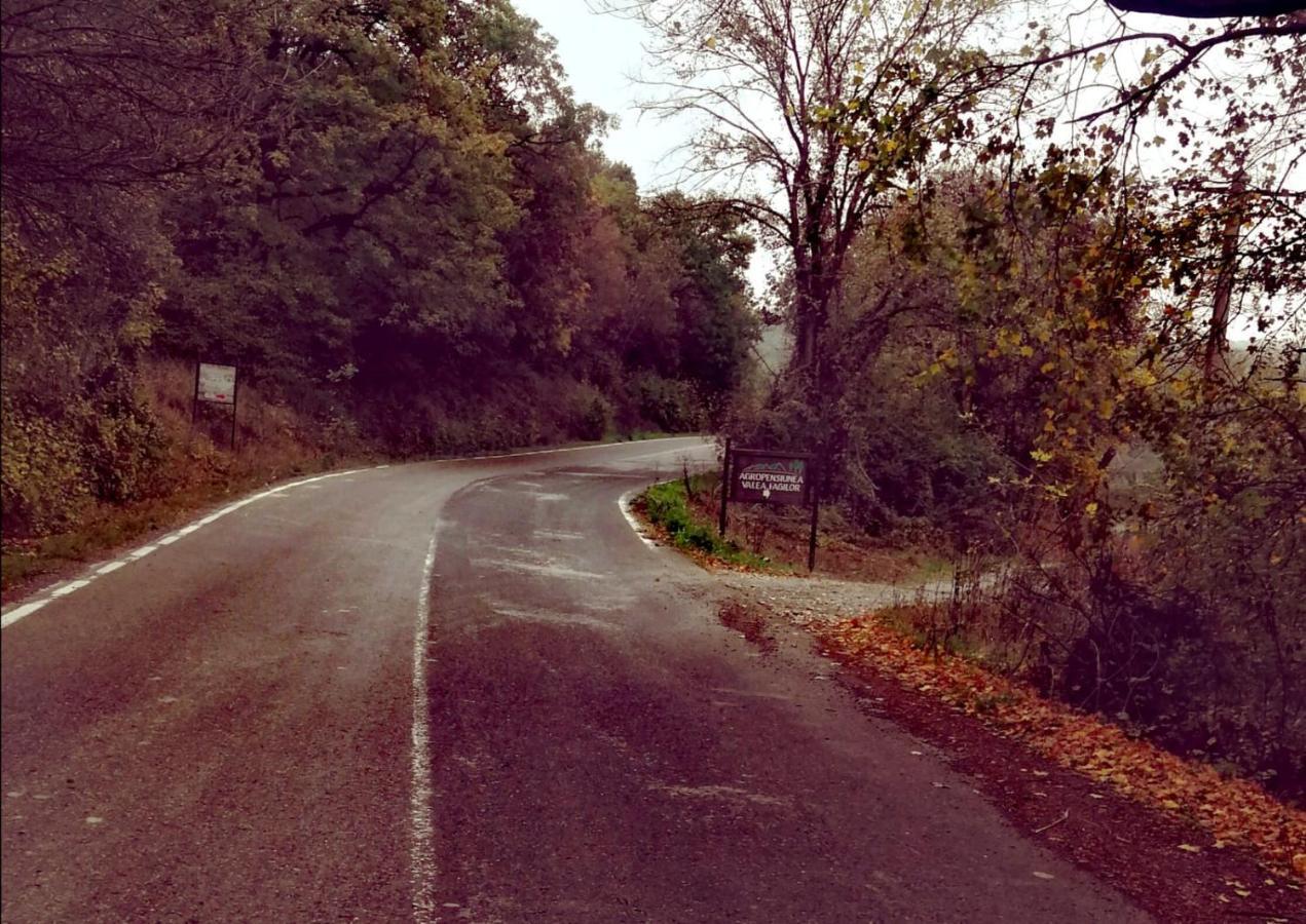 Agropensiunea Valea Fagilor Luncavita Exterior foto
