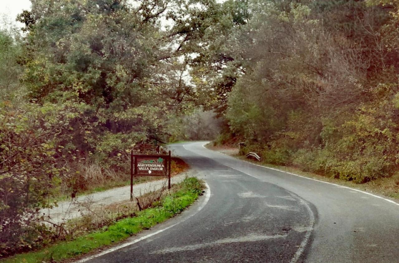 Agropensiunea Valea Fagilor Luncavita Exterior foto