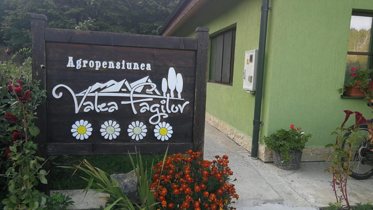 Agropensiunea Valea Fagilor Luncavita Exterior foto